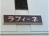 ラフィーネ