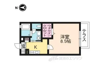 スプリング大将軍(1K/1階)の間取り写真