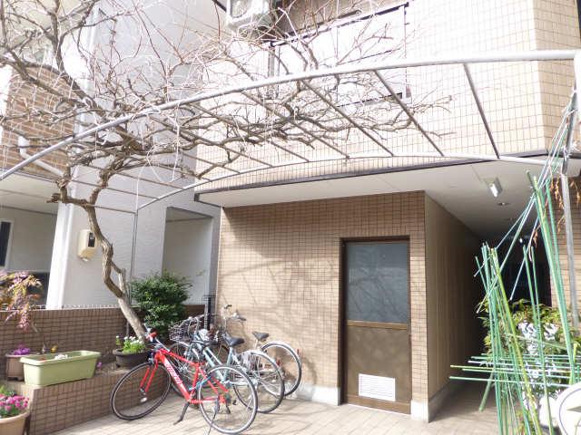 MARCH伊奈