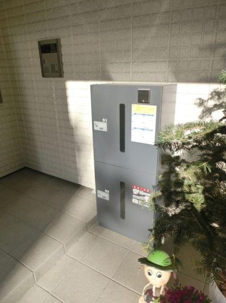 ホワイトスプライト