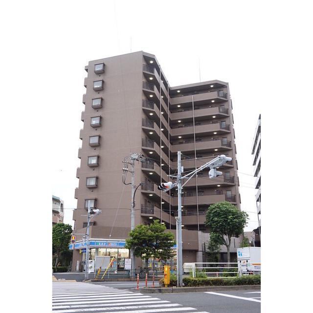 サンフラワー第6