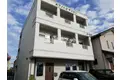 ホワイトビラハヤシ
