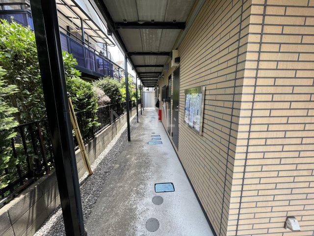アムールワイエス