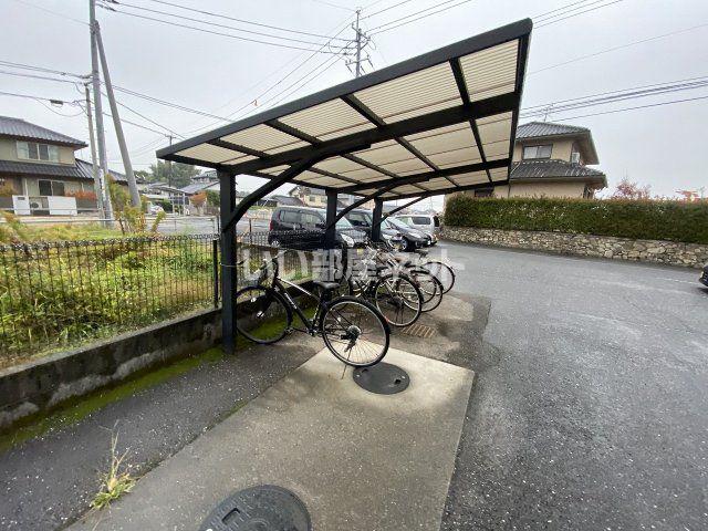 楠・サンフラワー