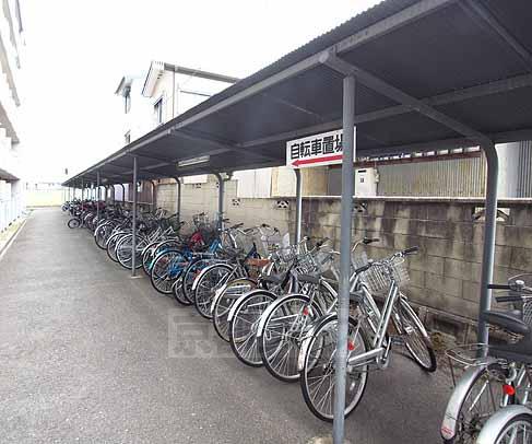 ダイバーシティ同志社