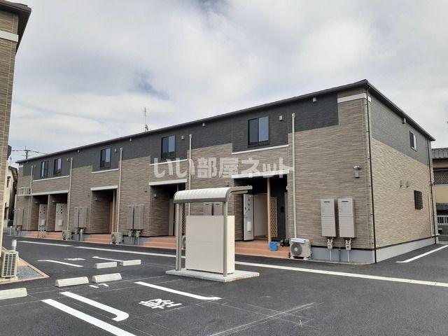 フランフラワーB