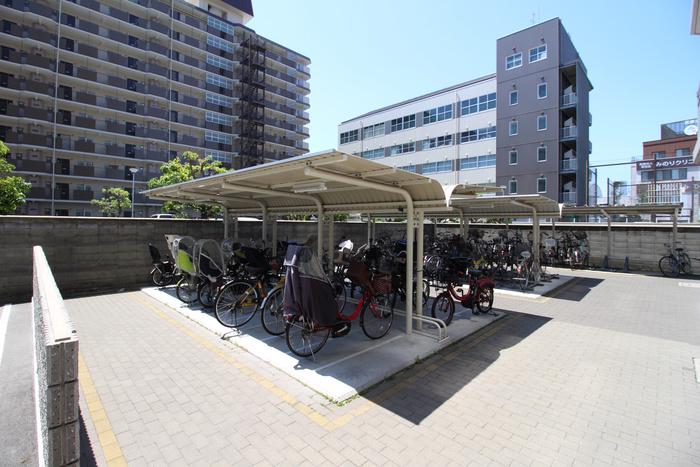 シェモア平野