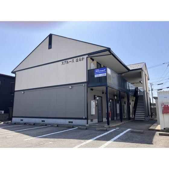 スプルースはるか