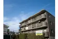 プライマリーコート