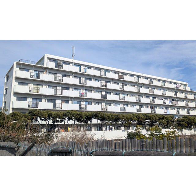 シーサイドパレス平塚(1LDK/3階)