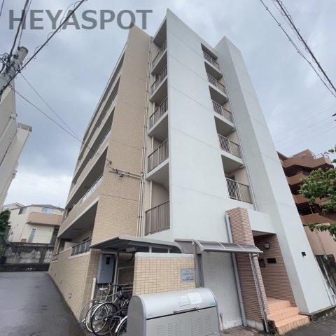 ウィル猫洞