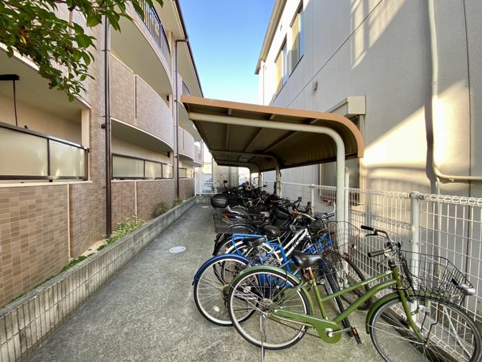 COLLECTION和泉府中