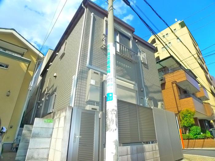 コスモス20