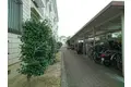 小阪西町Ⅲ番館
