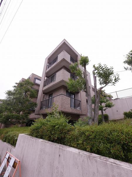 パルナス岳見町(3LDK/1階)