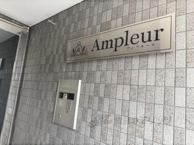 AMPLEUR