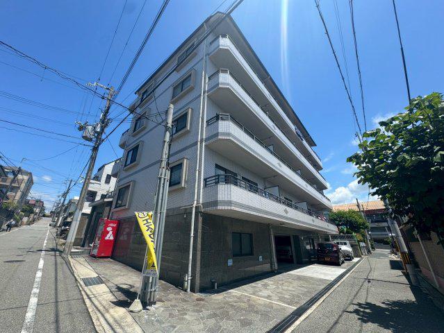 ロイヤルサクラ