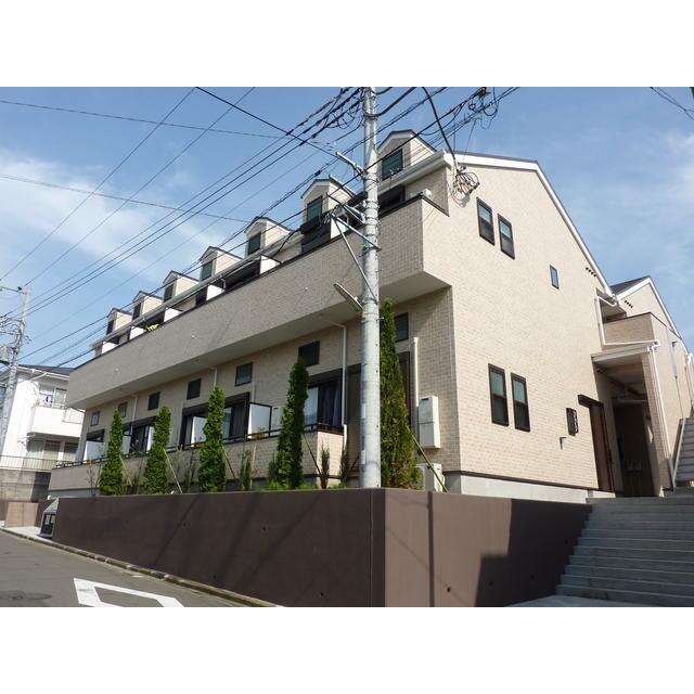 ラズベリーリーフ