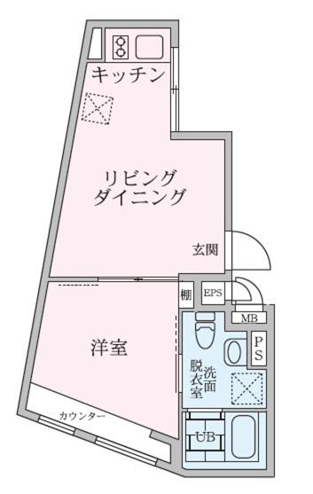 ラヴィエール成増(1DK/1階)の間取り写真