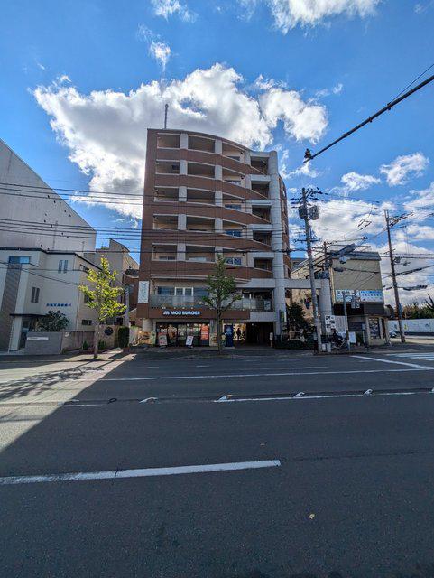 GATO D.M北山