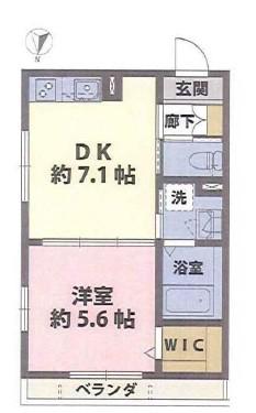 グランドソレイユVI(1DK/2階)の間取り写真