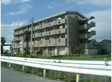 サンライト村上