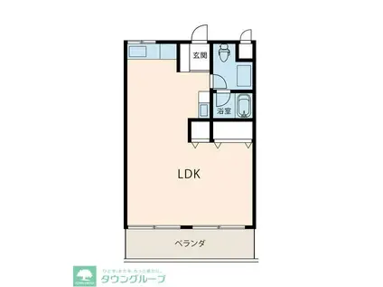 レジデンス白樺(ワンルーム/1階)の間取り写真