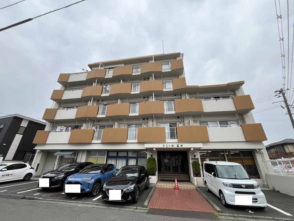 ドミール石川