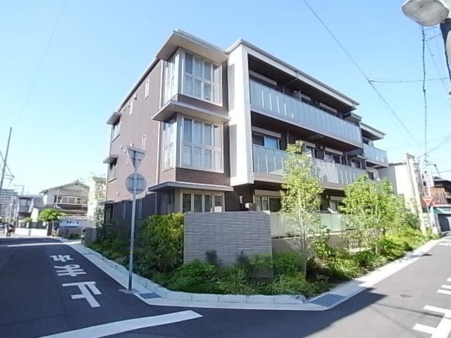 SHA MAISON PINO