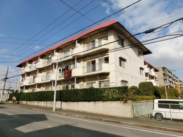 シャインクロコ
