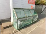 アーベイン和白