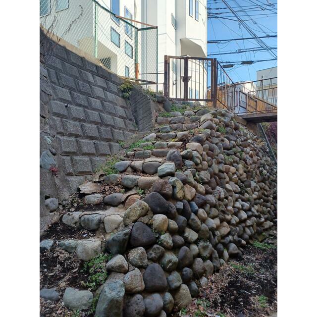 三春荘