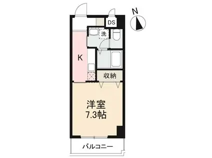 AMTY中央町(1K/5階)の間取り写真