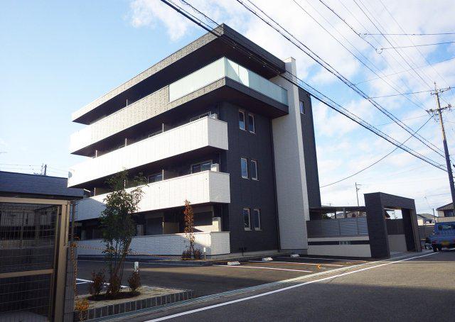 SKY・Eつげの木