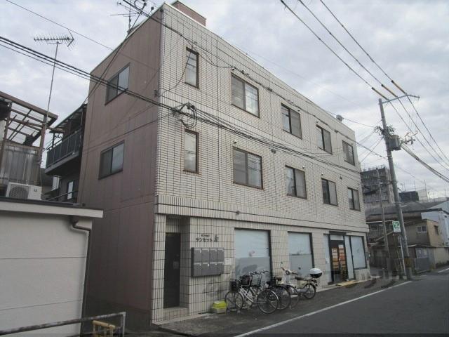 サンセット藤