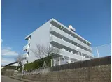 サンライズカワサキA棟