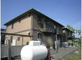 クレマチス