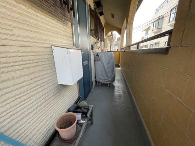 パインニードル