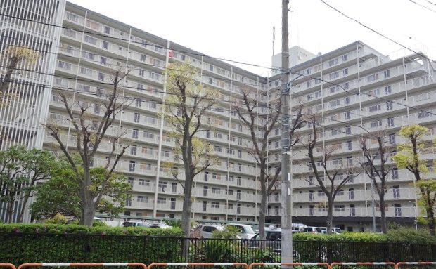 東武伊勢崎線 五反野駅 徒歩8分 12階建 築49年
