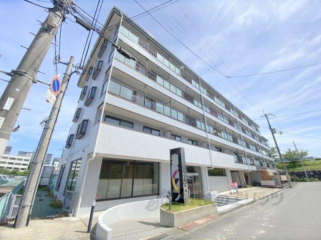 エクセラン