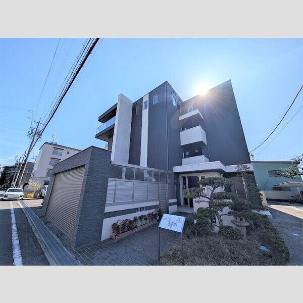 SKY・Eつげの木