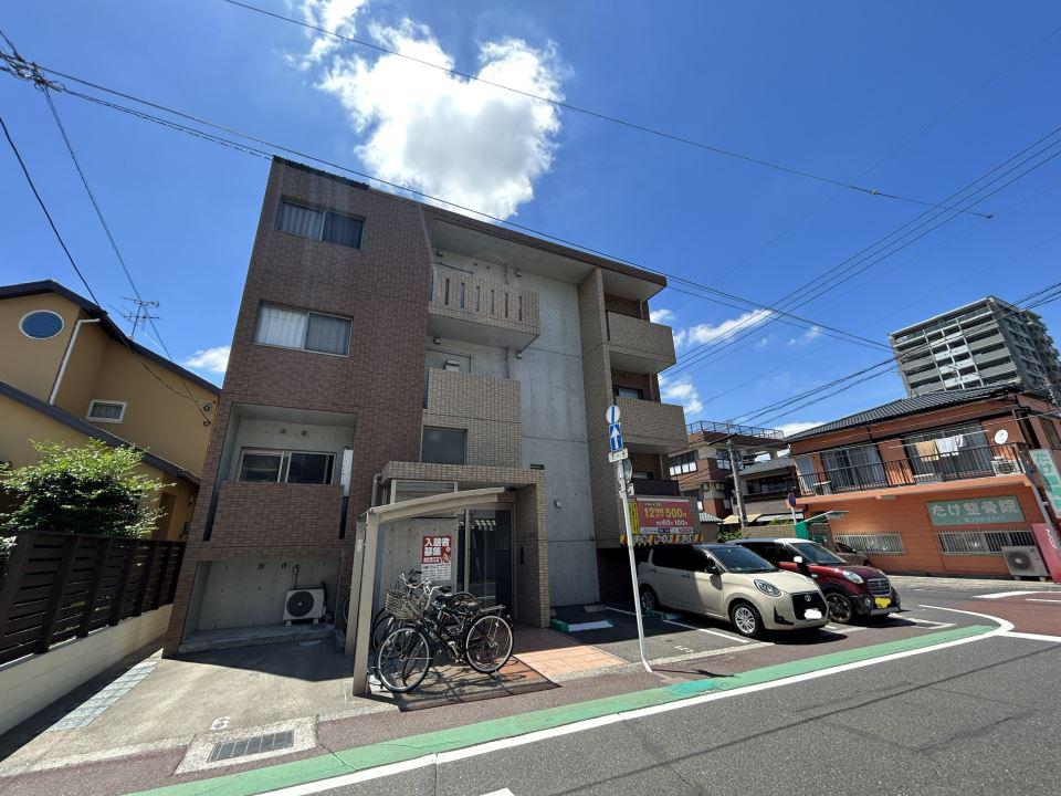 ステラ武