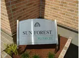 SUN FOREST