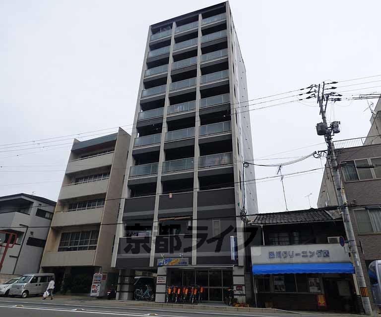 AVENIR朱雀