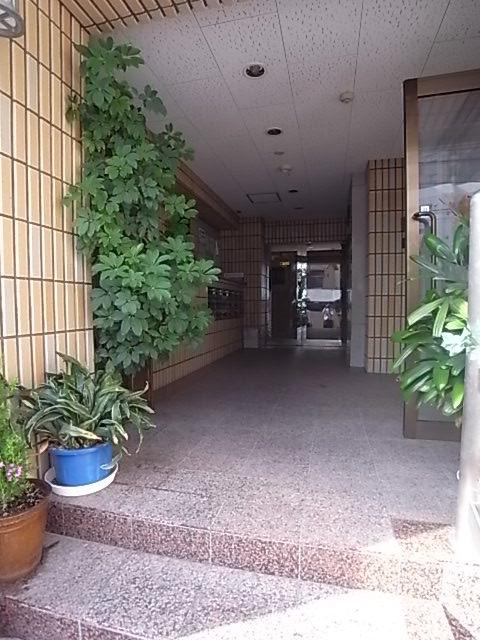 キリンハイム