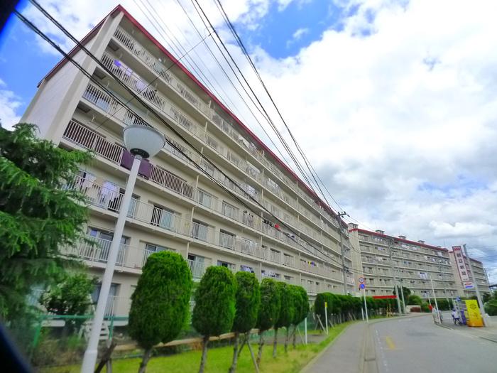 マンション柏サルビア