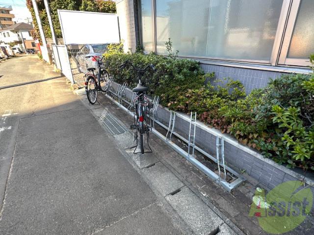 スタインビルド1