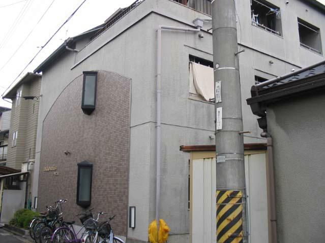 アドニス