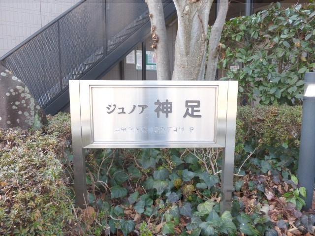 ジュノア神足