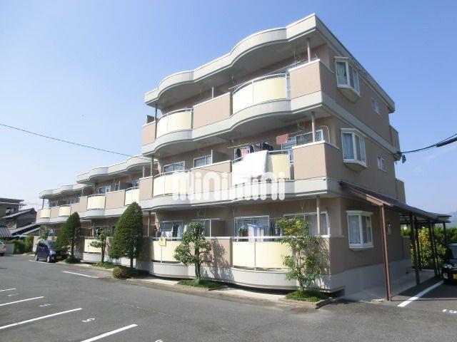 ロイヤル・ハイツ(2DK/2階)